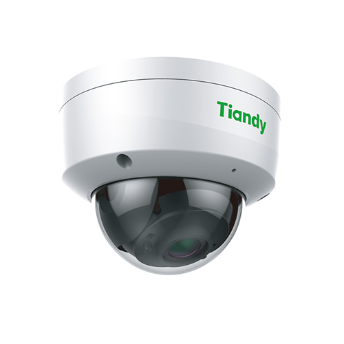 Tiandy TC-NC24MS 2MP Motorize Starlight Dome Kamera